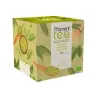 MOMENT TEA Té Verde Matcha y Sencha ECO 15 Piramides