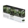 Pack 8 Stracto Corposo Tray box