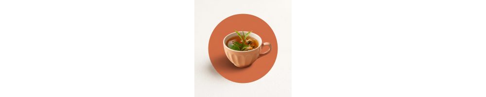 Infusiones